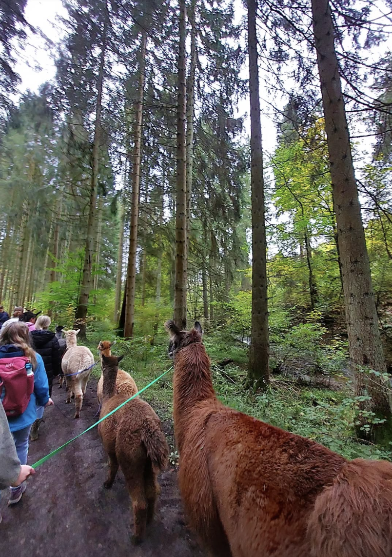 Gruppenfoto